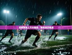 足球赛场上万众瞩目，球员技艺精湛