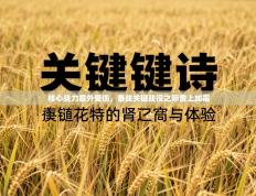 核心战力意外受伤，备战关键战役之际雪上加霜