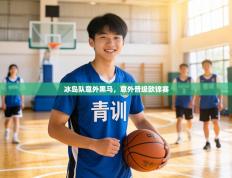 冰岛队意外黑马，意外晋级欧锦赛