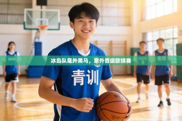 冰岛队意外黑马，意外晋级欧锦赛