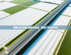 斯图凡特庄园中场连中两枪，客场一举击败对手