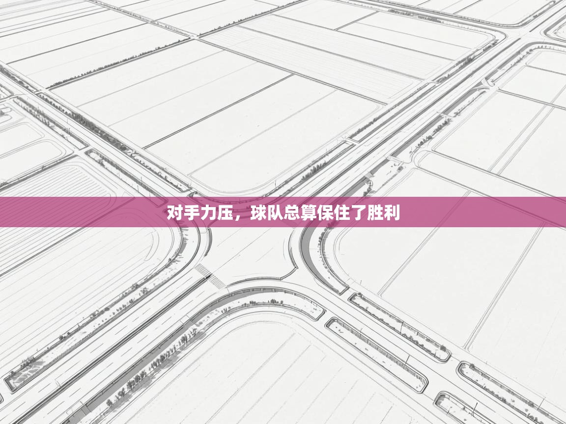 对手力压，球队总算保住了胜利  第2张