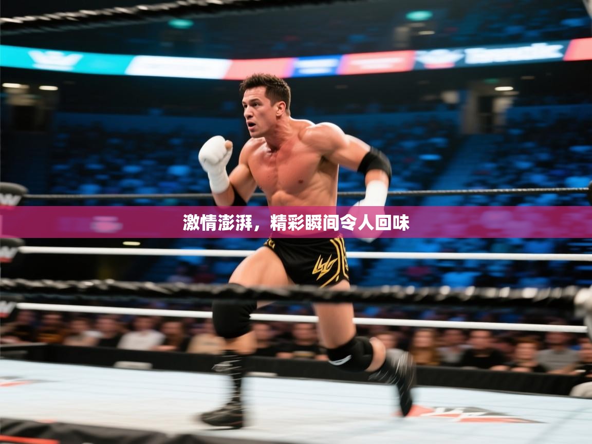 激情澎湃,精彩瞬间令人回味 第2张