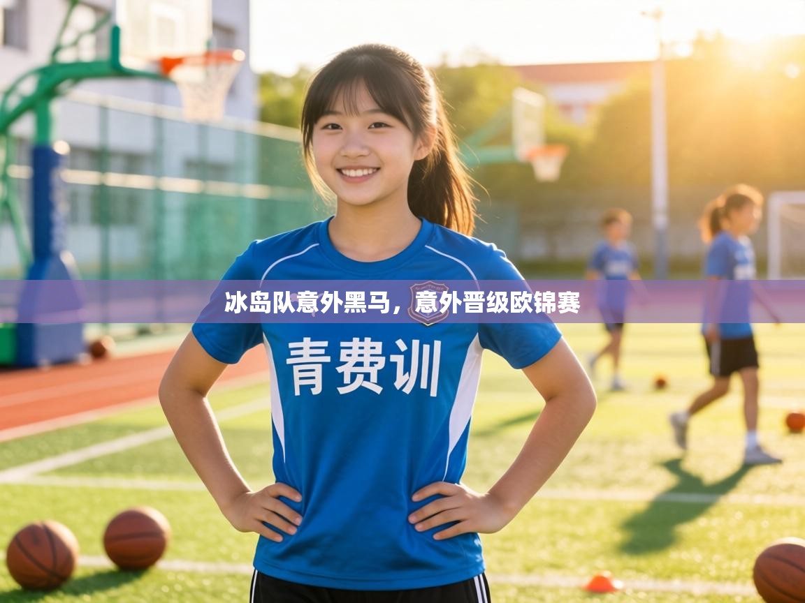 冰岛队意外黑马，意外晋级欧锦赛  第2张